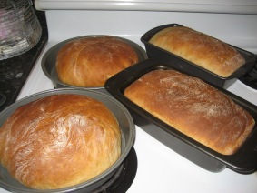 bread from being a homesteader