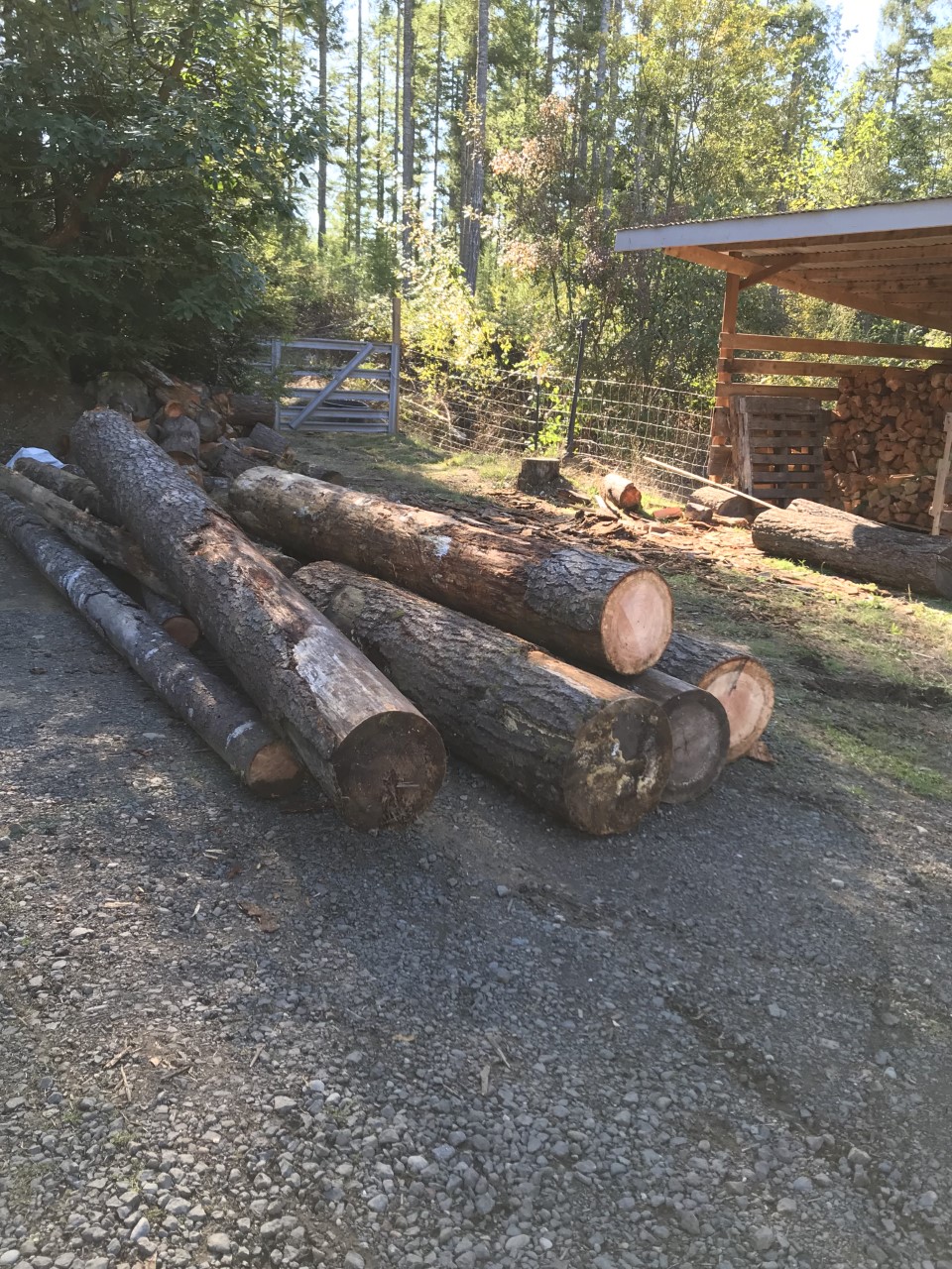 logs for firewood